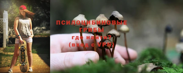 ALPHA PVP Тихвин