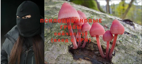 крисы Тайга