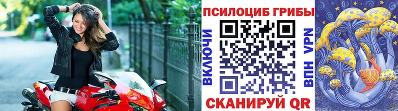 продажа наркотиков  Тюкалинск  Псилоцибиновые грибы ЛСД 