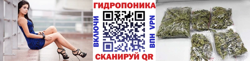 магазин продажи   Тюкалинск  Бошки Шишки планчик 